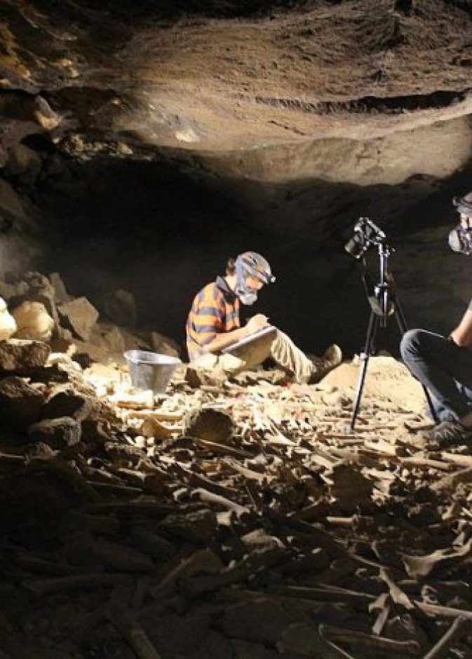 اكتشاف جديد في كهف أم جرسان يعود إلى ما قبل 7000 سنة - المصدر وكالة الأنباء السعودية