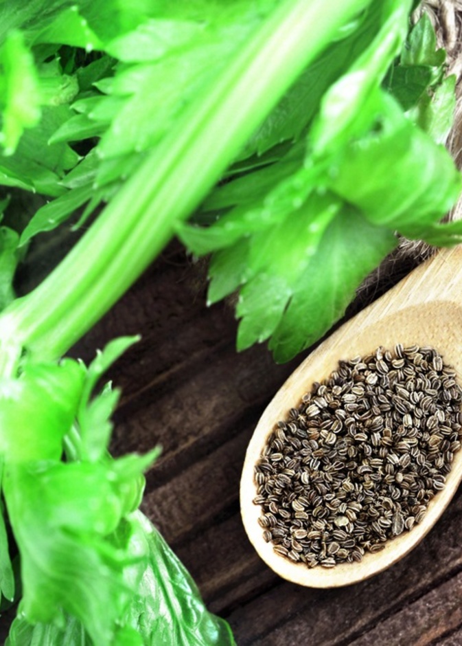 رئيسية فوائد بذور الكرفس الصحية