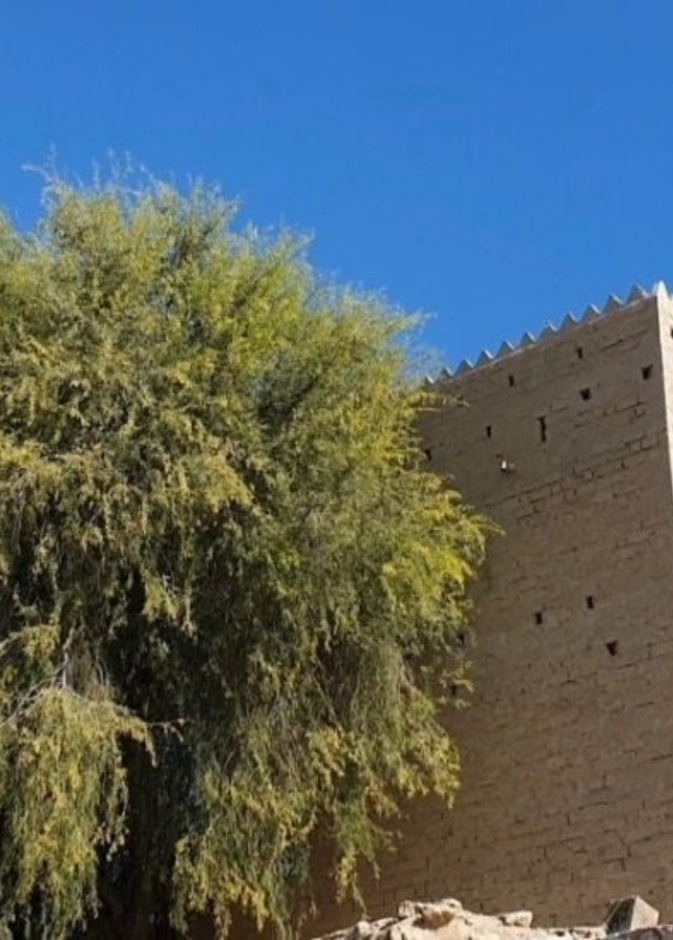  عبق الماضي وشموخ التاريخ في دبا الحصن - المصدر تويتر