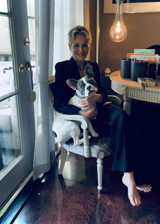 شارون ستون  - الصورة من حساب شارون ستون على انستجرام