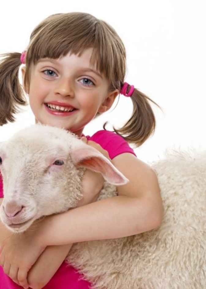 ما هي أفضل طريقة لشرح فكرة الأضحية للأطفال