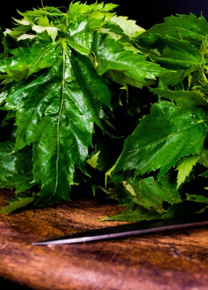 فوائد صحية غير متوقعة للملوخية