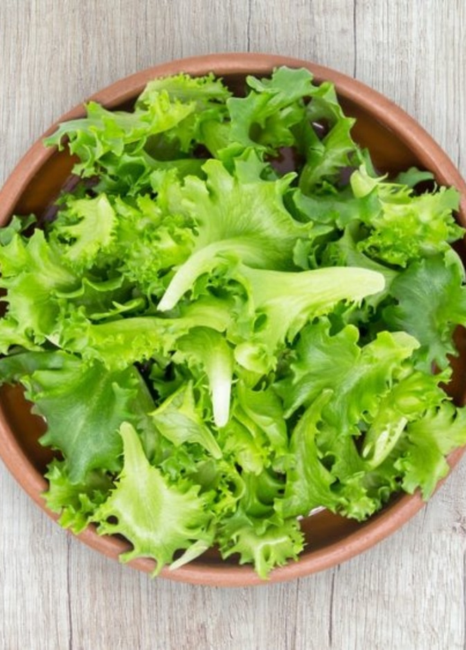 ماهي فوائد الخس للمعدة