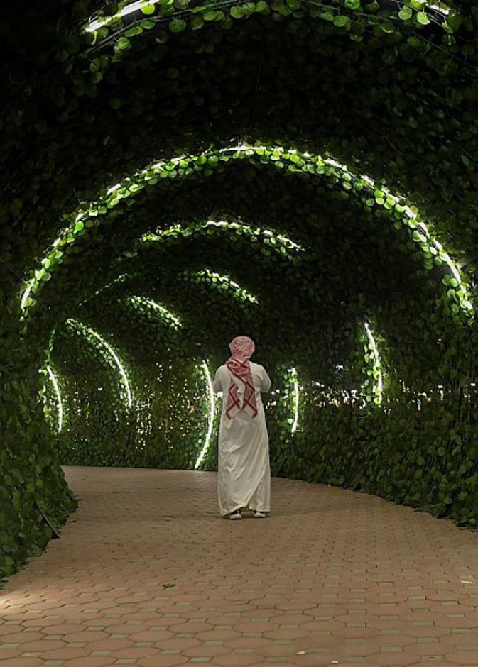  مسارات مميزة للزوار في حديقة الفيصليلة - المصدر وكالة الأنباء السعودية 