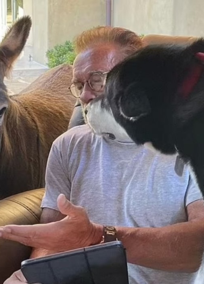 رنولد شوارزنيجر _ الصورة من حساب أرنولد شوارزنيجر على إنستجرام