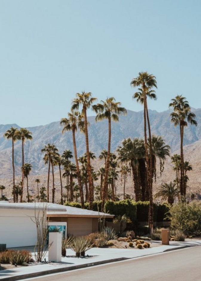 ما هي أبرز المعالم السياحية في بالم سبرينغز الأمريكية هذا العام؟ Cody Board