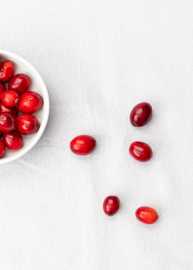 ماهي فوائد التوت البري للجهاز الهضمي