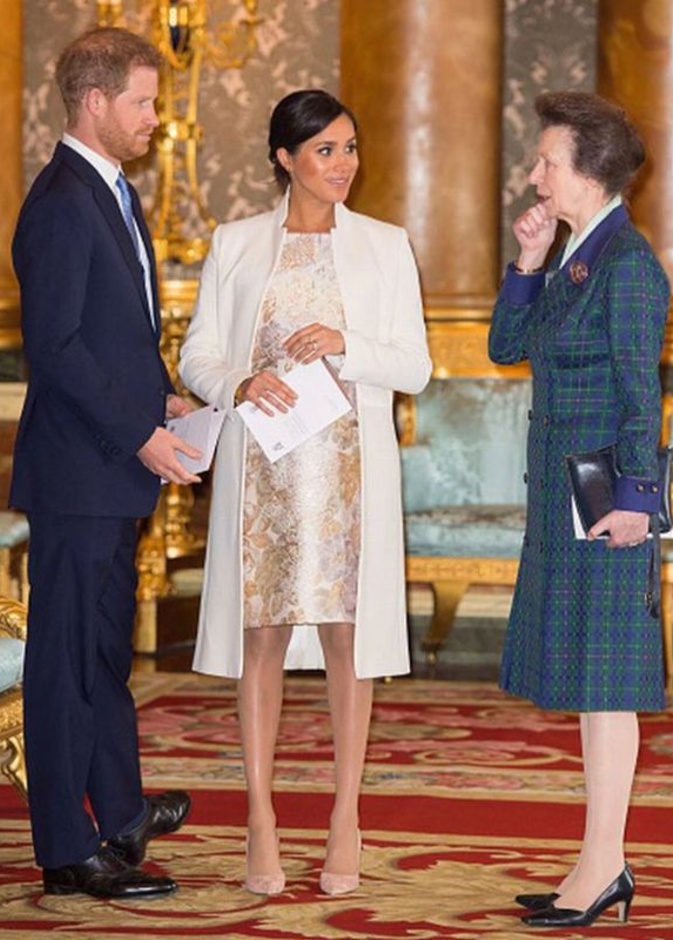 الأميرة آن الأكثر استياء من الأمير هاري بعد إعلان انسحابه من الحياة الملكية