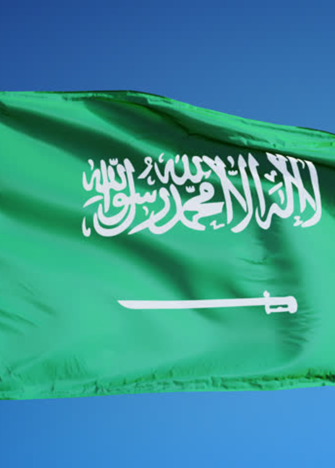 المملكة في المرتبة الأولى عربيا والثالثة عالميا بقائمة أفضل 10 دول للهجرة