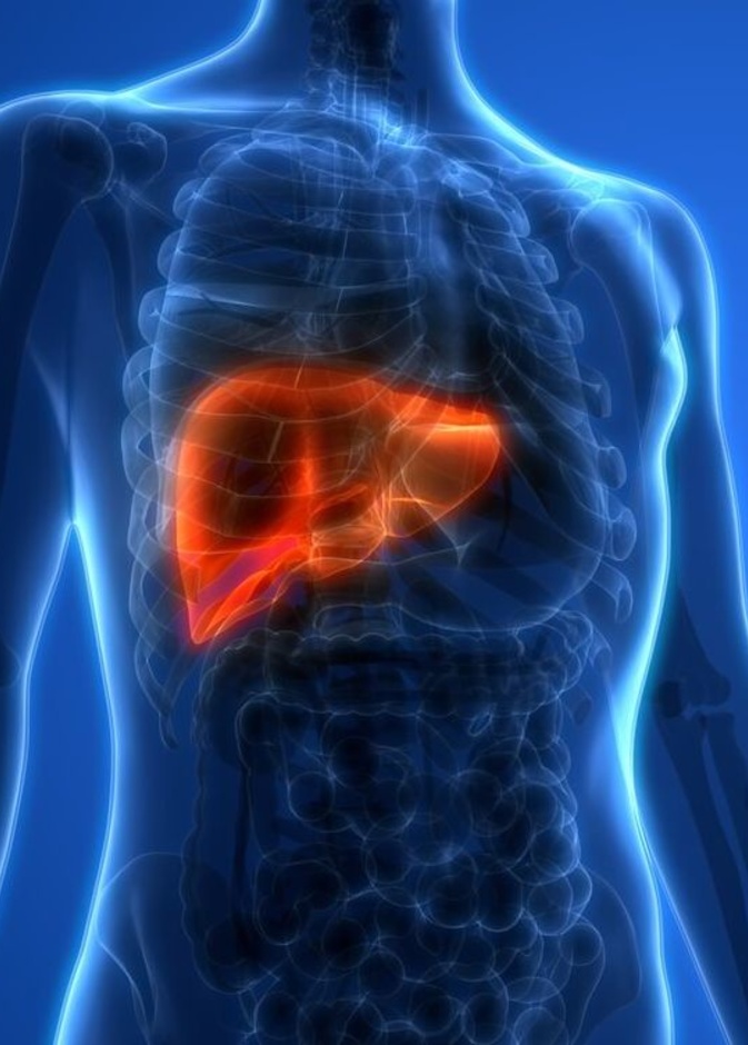 علامات تدل على الإصابة بتليف الكبد