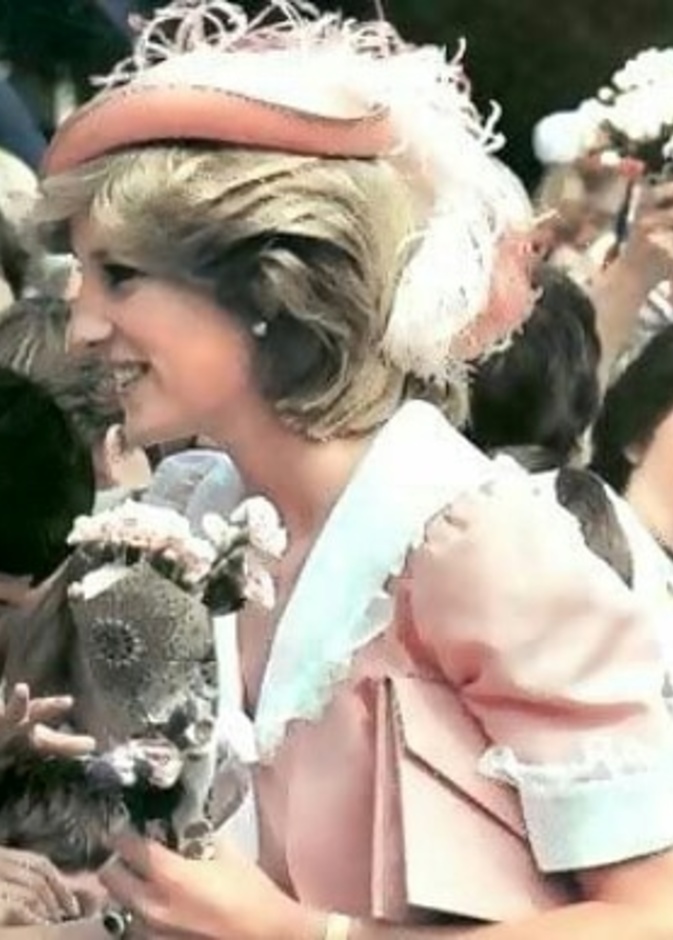  صورة الفستان الوردي الذي ارتدته الأميرة ديانا في يوم زفافها