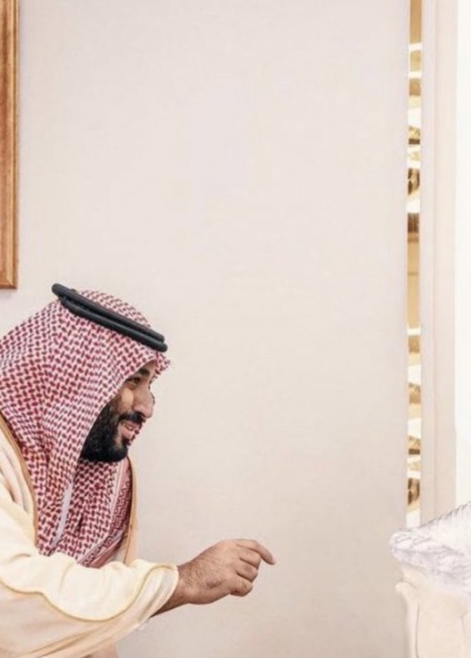 صورة مبتكرة من المصور السعودي صالح الصقعبي لولي العهد حفظه الله 