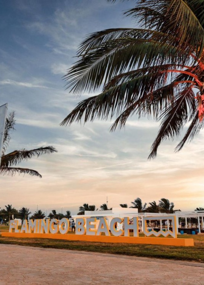 فعالية "شاطئ فلامينجو".. تجربة صيفية شيقة وأجواء بحرية خلابة في ينبع 