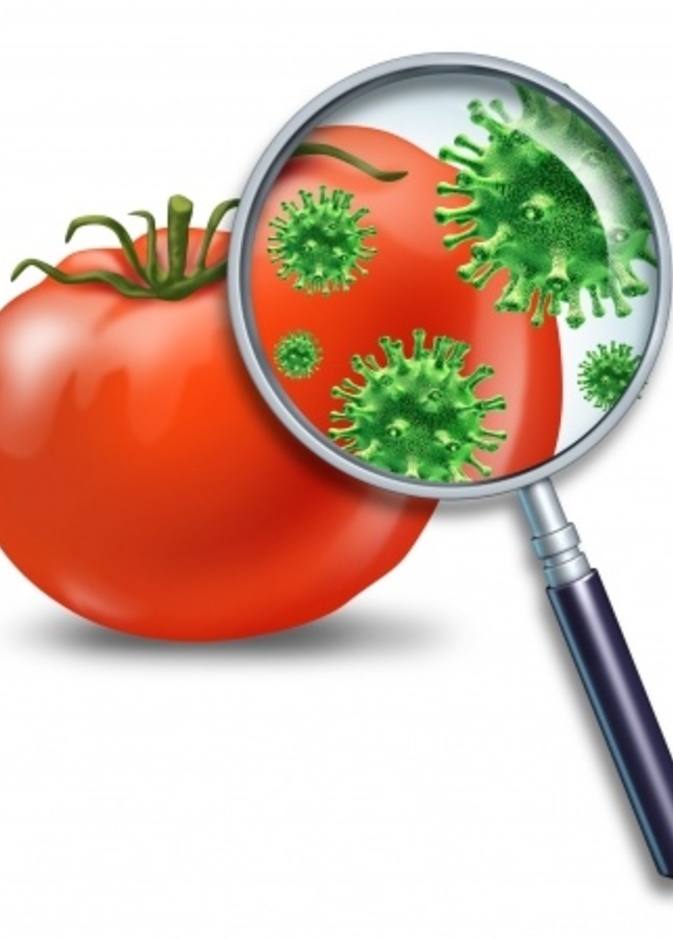 علامات فساد الاطعمة التي لا يجب تجاهلها