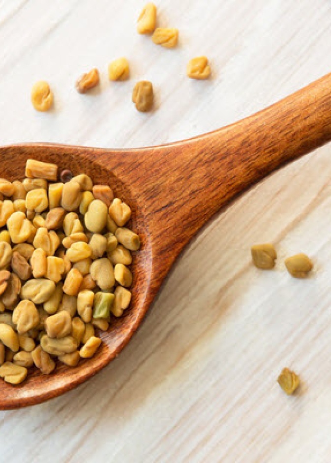 فوائد الحلبة المغلية ستدهشك