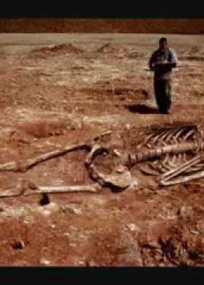 صورة الهيكل العظمي لقوم عاد مجرد شائعة