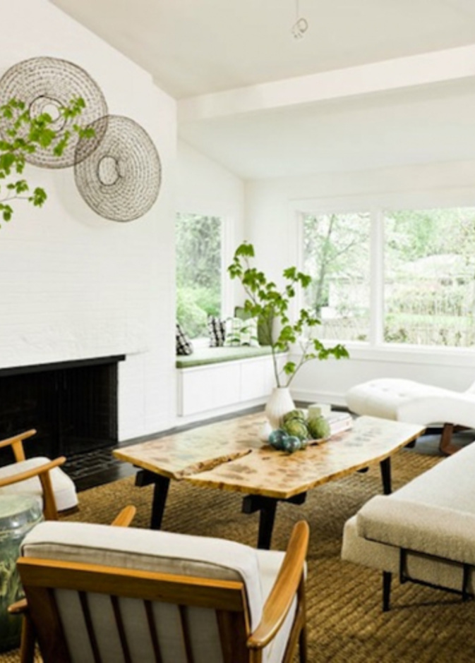 بيوت نابضة بالحياة مع النباتات المنزلية الطبيعية