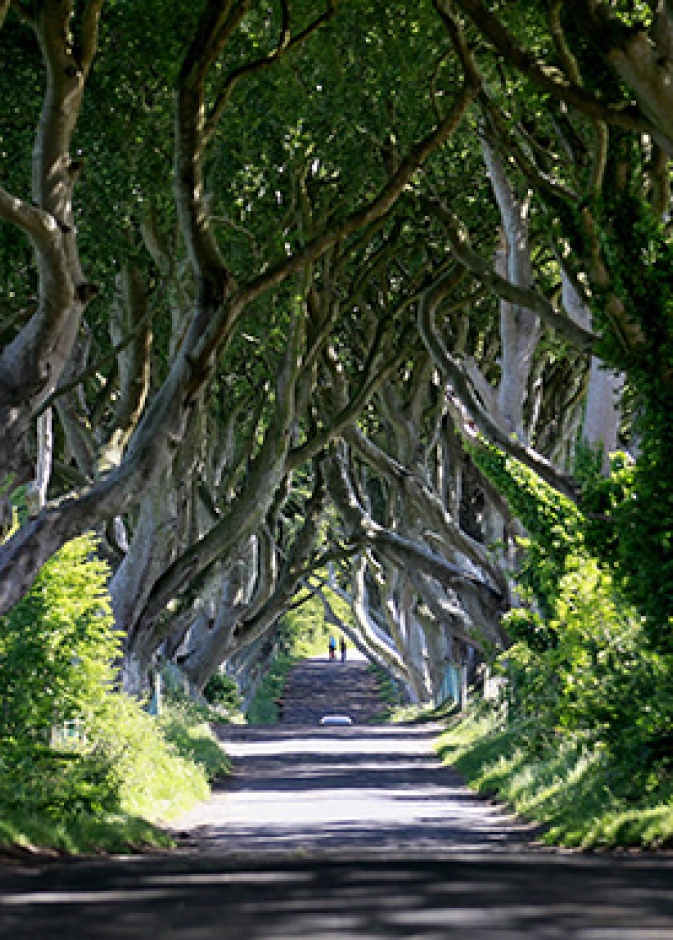 سافروا الى ايرلندا لتشاهدوا مواقع تصوير Game of Thrones