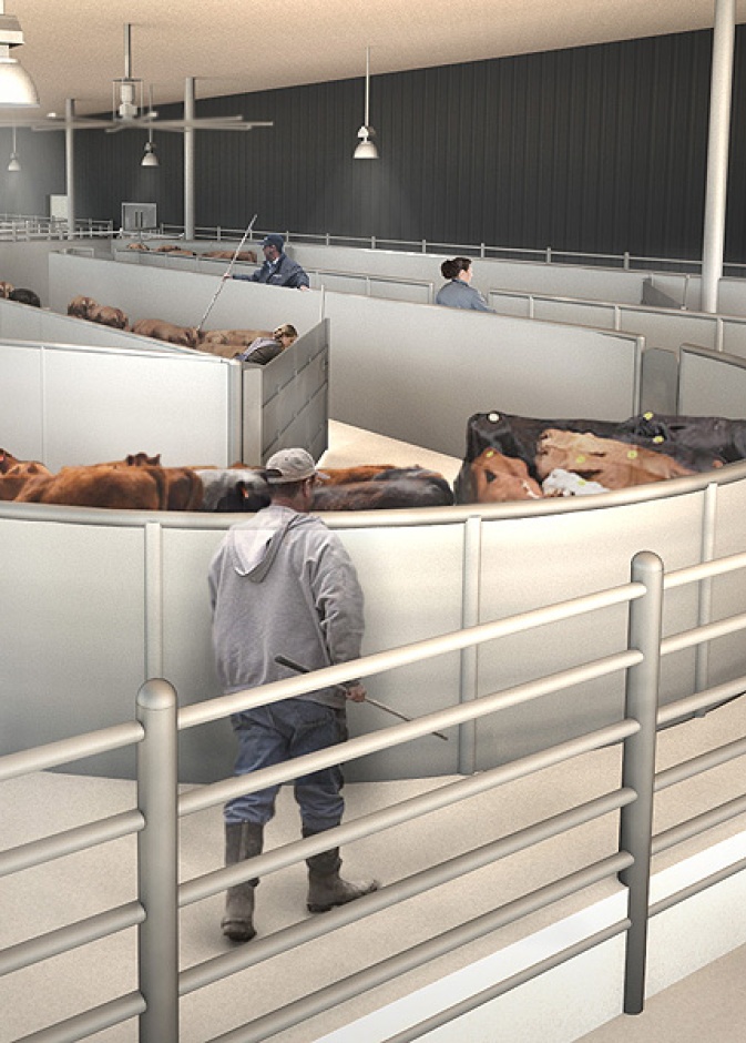 مبنى خاص بالحيوانات في مطار جون إف كينيدي الجديد