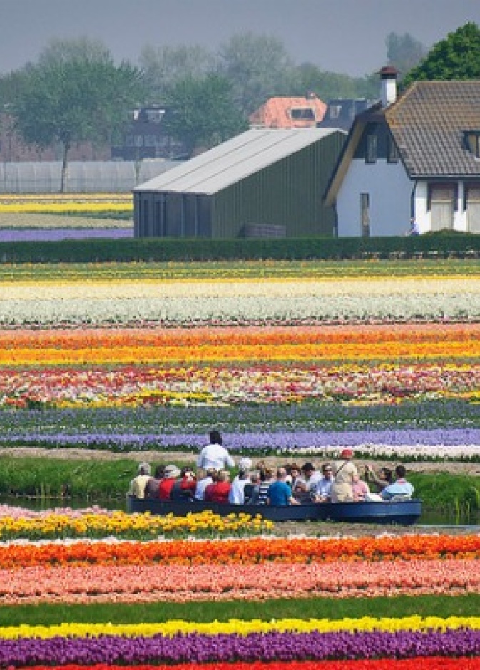 كيوكينهوف في هولندا .. أجمل حديقة ورود في العالم