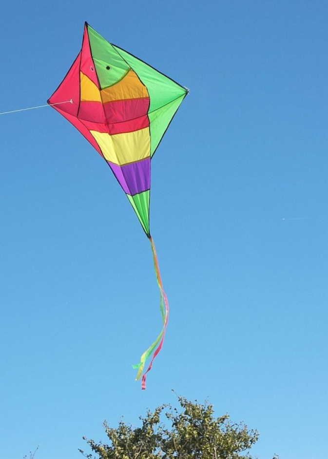 بالفيديو: طائرة ورقية تقتل طفلاً