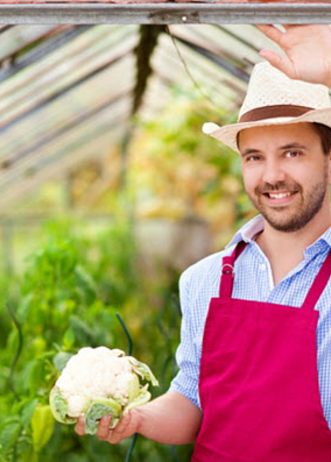 القرنبيط يحارب سرطان البروستاتا