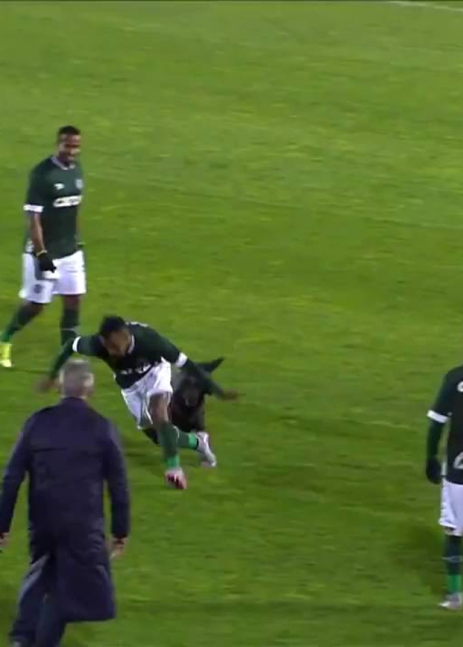 مقطع من الفيديو