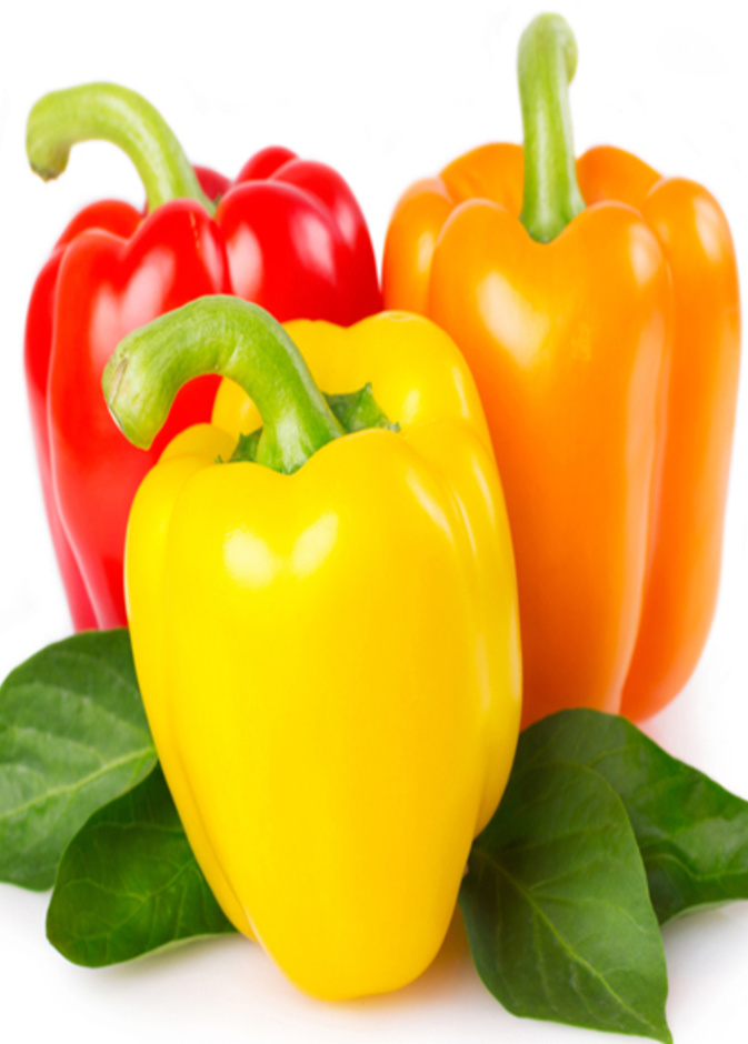الفلفل بكل ألوانه مصدر مهم لحمض الفوليك
