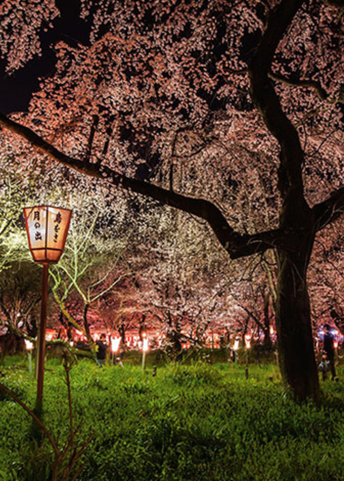 أفضل صور السفر في عام 2013 من ناشونال جيوغرافيك