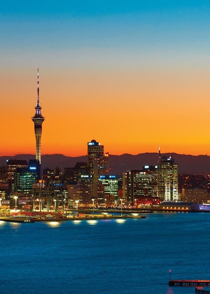 new zealand at night