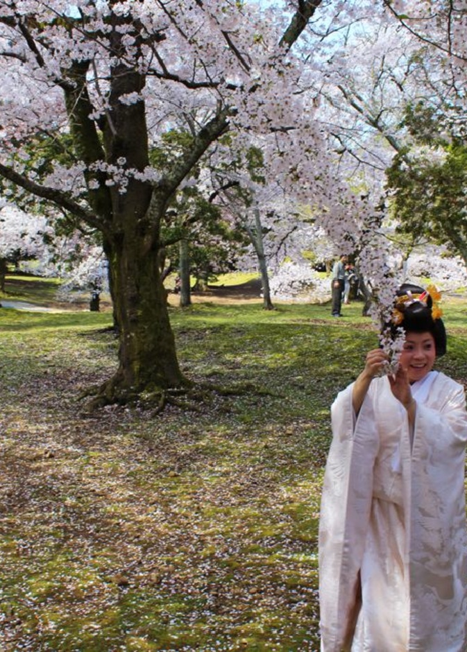 اليابانيون من الشعوب المهذبة والمتحضرة للغاية