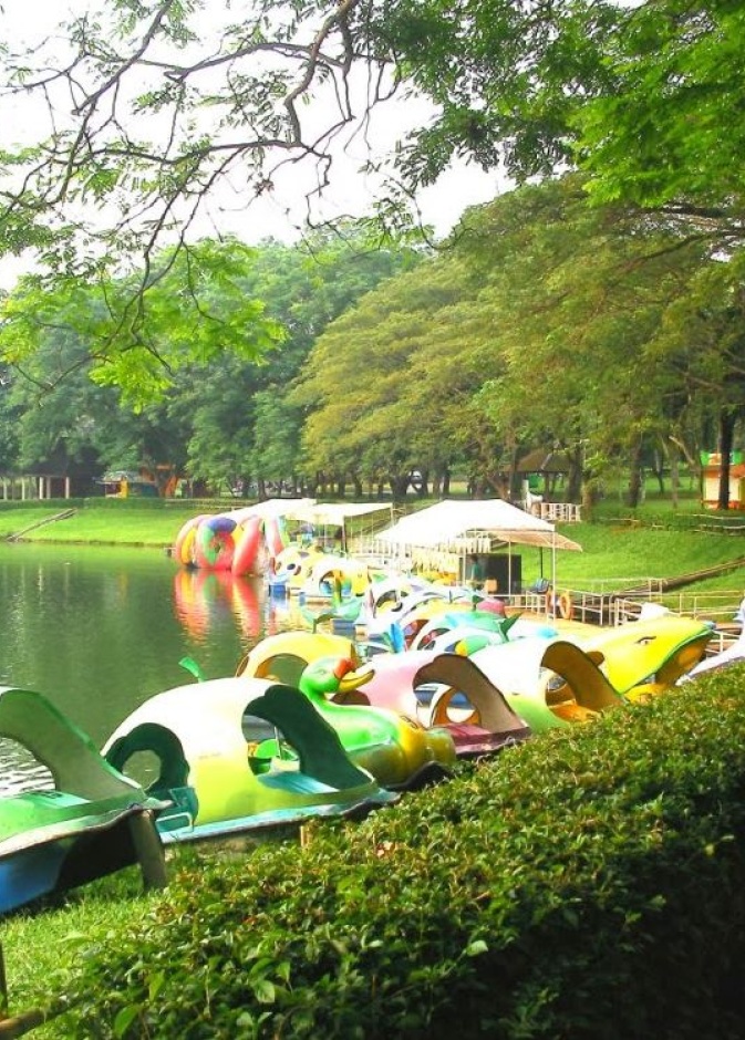 حديقة الزهور بونشاك اندونيسيا.