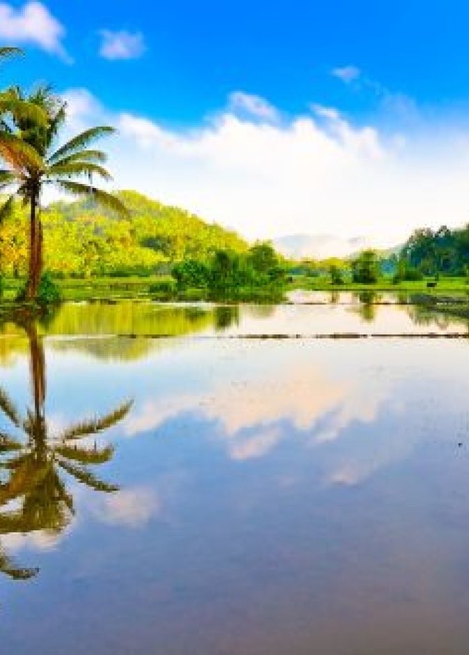 المناظر الطبيعية الجميلة في سريلانكا