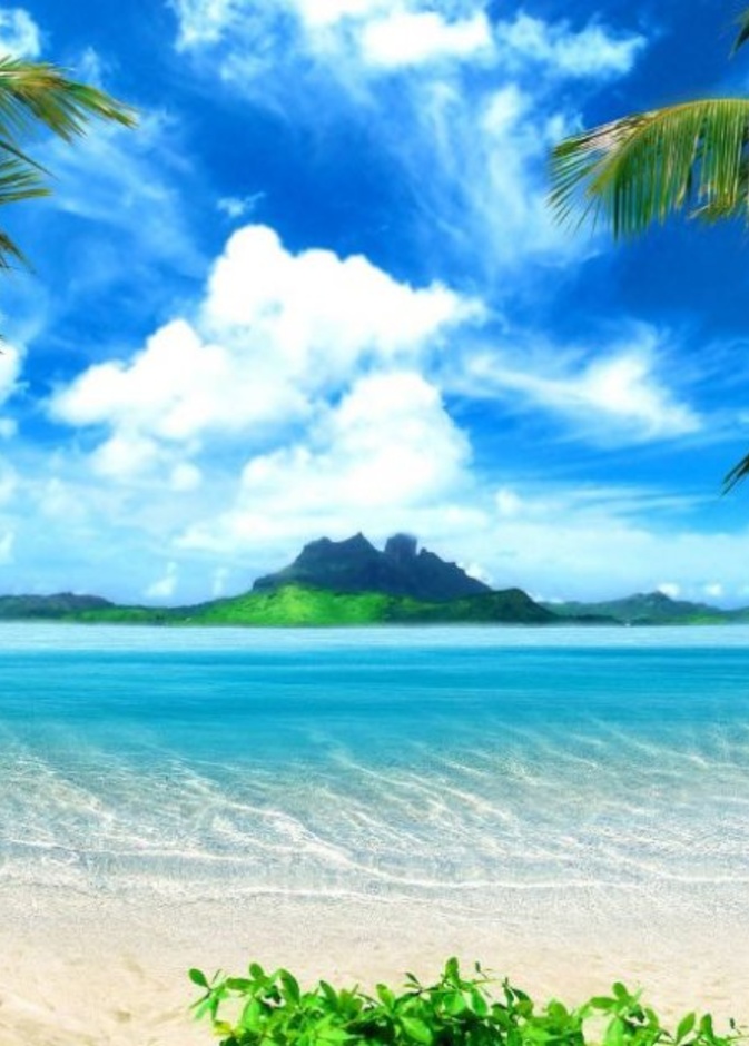 روعة ساحل Punta Cana