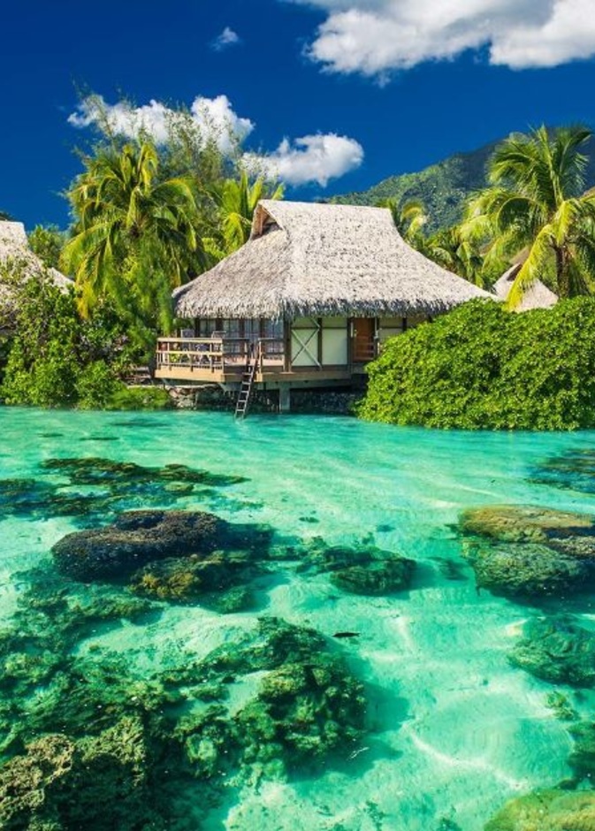 _جمال فريد في جزيرة هايدرا