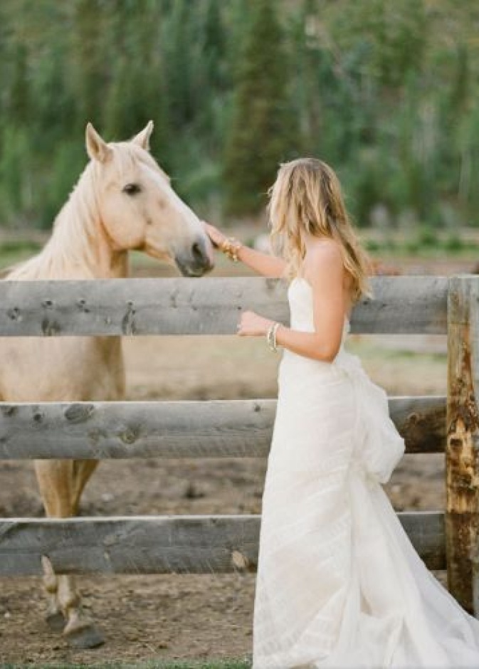 أجمل صور  الزفاف على صهوة الخيل               