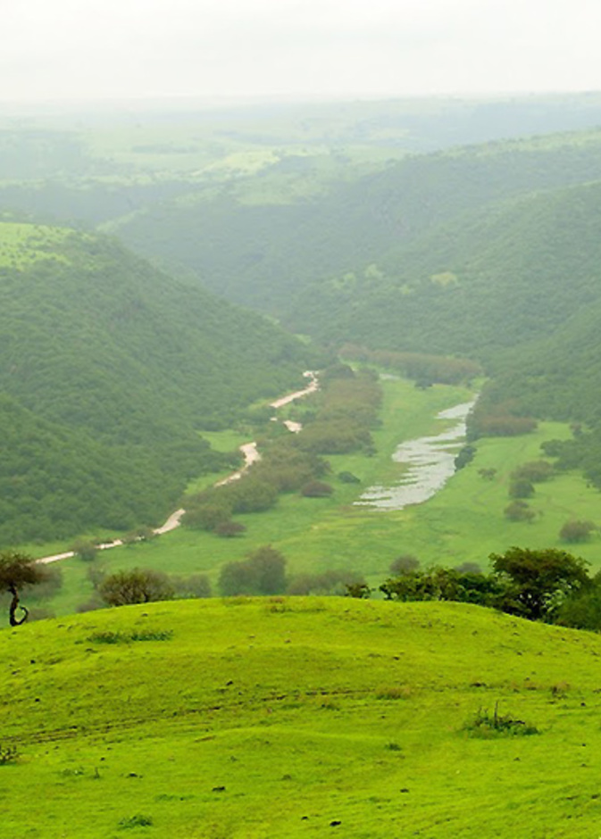 صلالة .. أجواء لطيفة في شهور الصيف