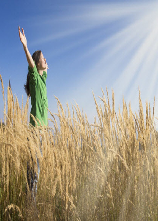 هل يمكننا خسارة الوزن بمجرد التحديق في الشمس؟