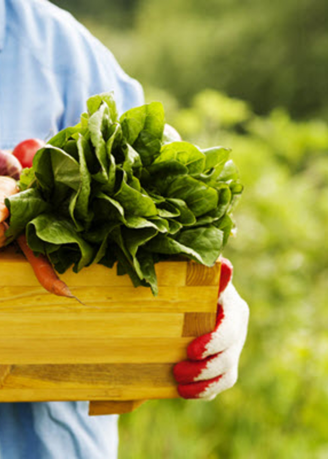 حمية الشمال الجديدة هي الأفضل بحسب الطب لإنقاص الوزن