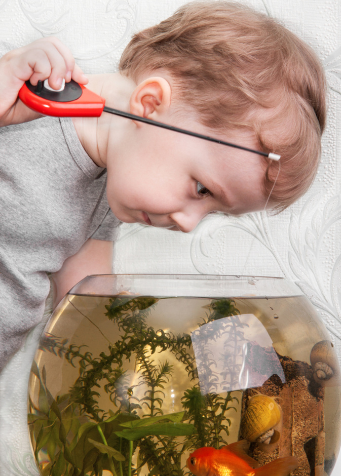 فيديو.. طفل يودع سمكته الذهبية بالدموع