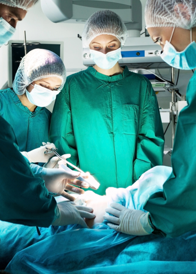 عنكبوت في ضيافة بطن أسترالي لثلاثة أيام