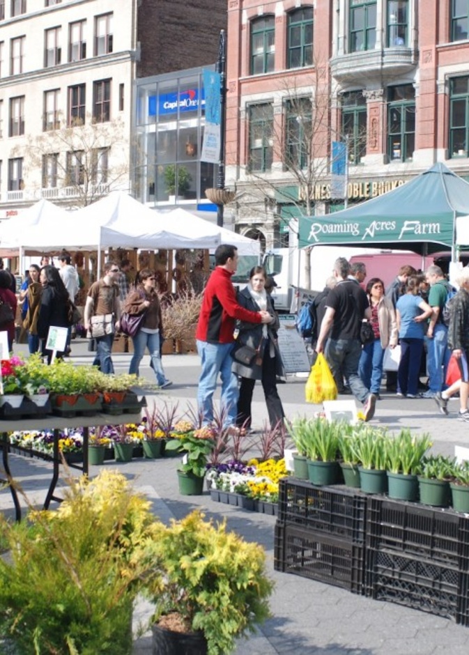 union square greenmarket