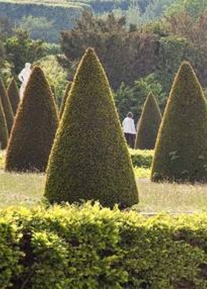 فرساي مدينة العطور الفرنسية