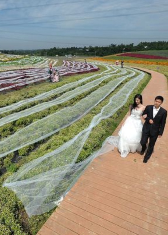 أطول فستان زفاف في العالم... 4100 متر