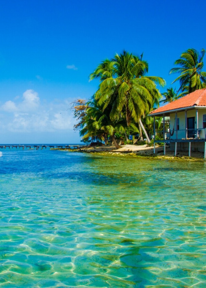 بليز: اكتشف عالم ما تحت الماء 