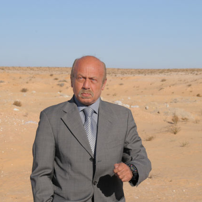 الفنان الراحل حمدى السخاوى 