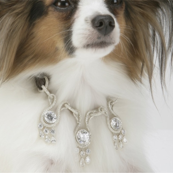 طوق كلب – 3.2 مليون دولار