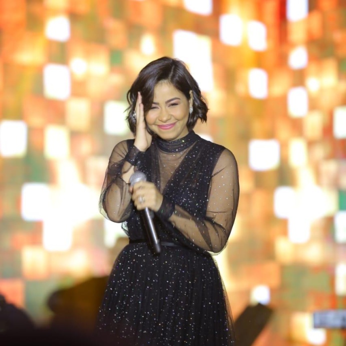 حفل شيرين عبد الوهاب بمناسبة رأس السنة 2019