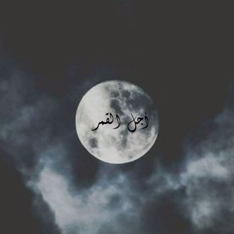 رواية دماء الوريث