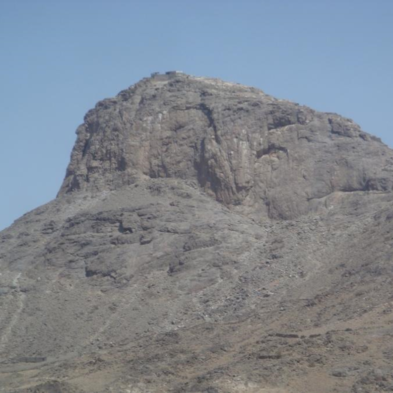 قطيع الأغنام فوق قمة الجبل.